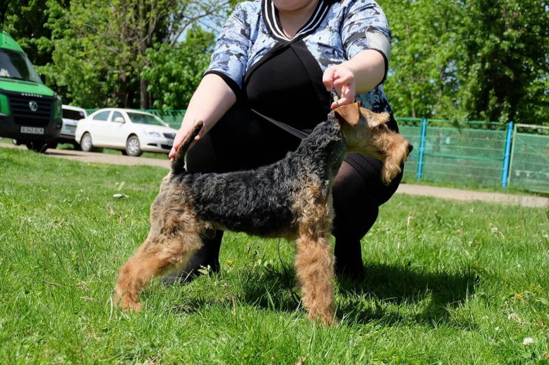 ���� ������. ���������� �����