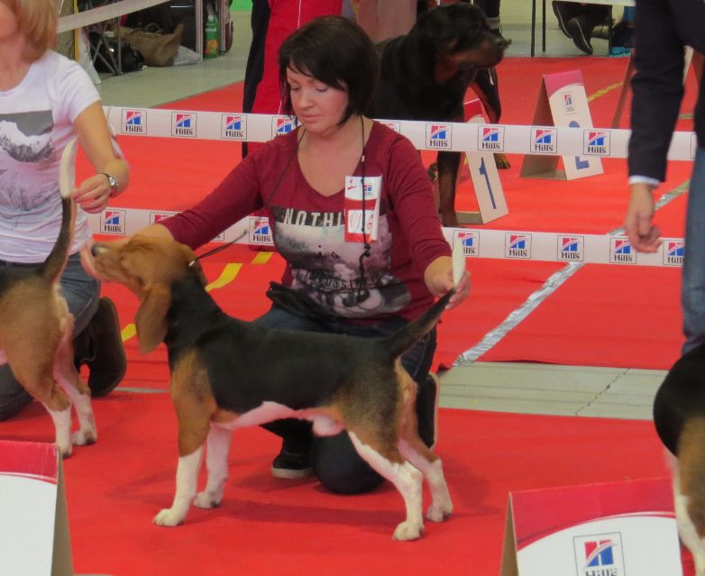 �����. ���������� �����