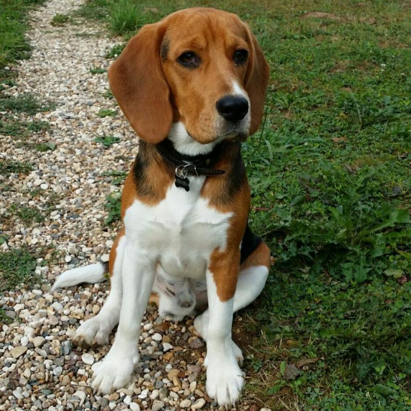 �����. ���������� �����