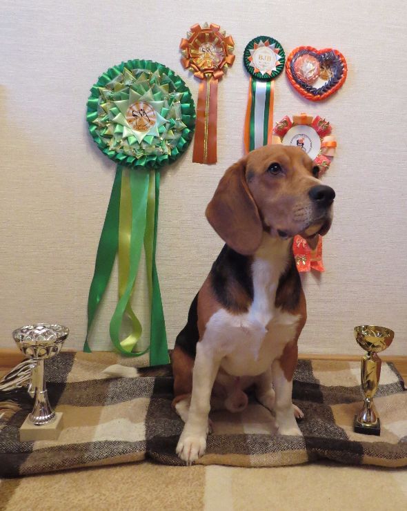 �����. ���������� �����