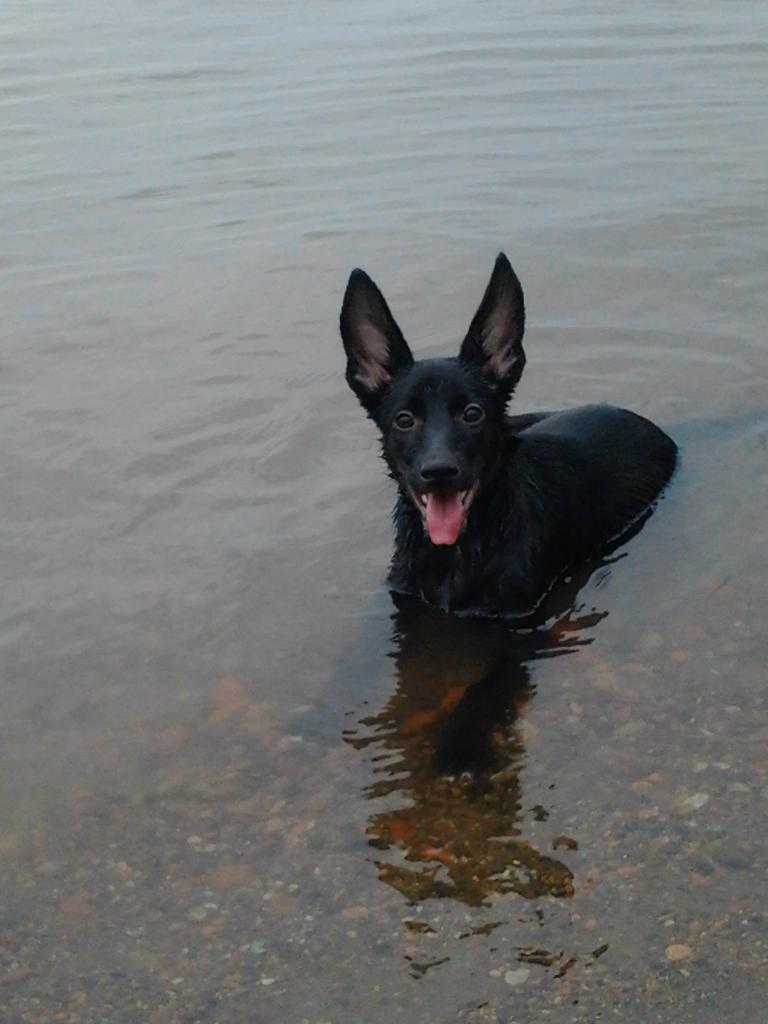 ��� ������. ���������� �����