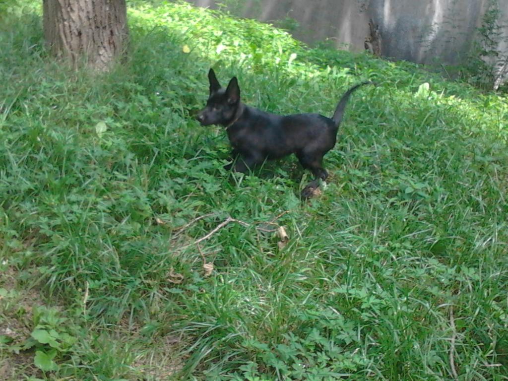 ��� ������. ���������� �����