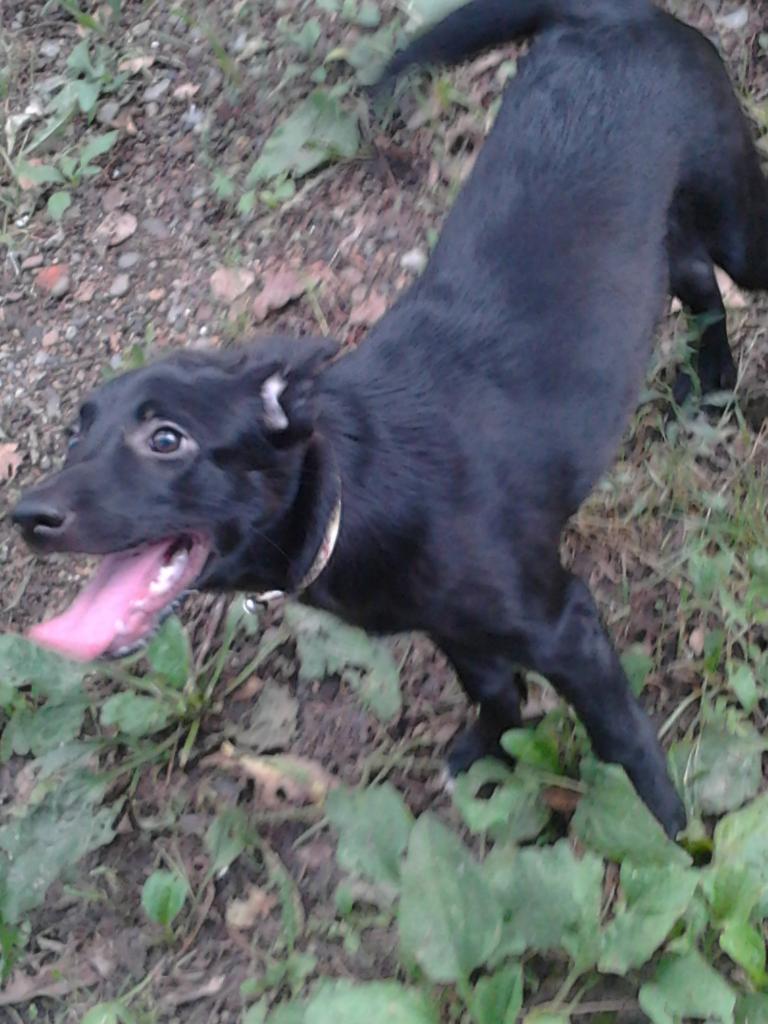 ��� ������. ���������� �����