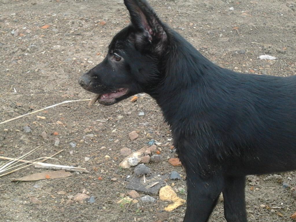 ��� ������. ���������� �����