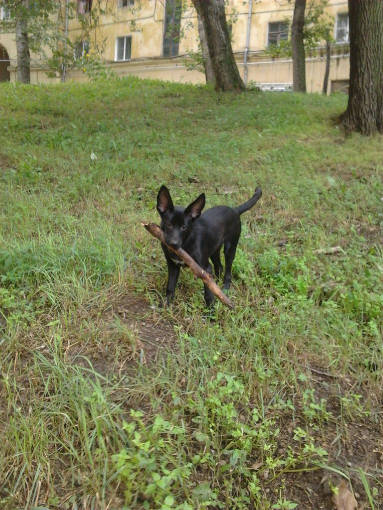 ��� ������. ���������� �����