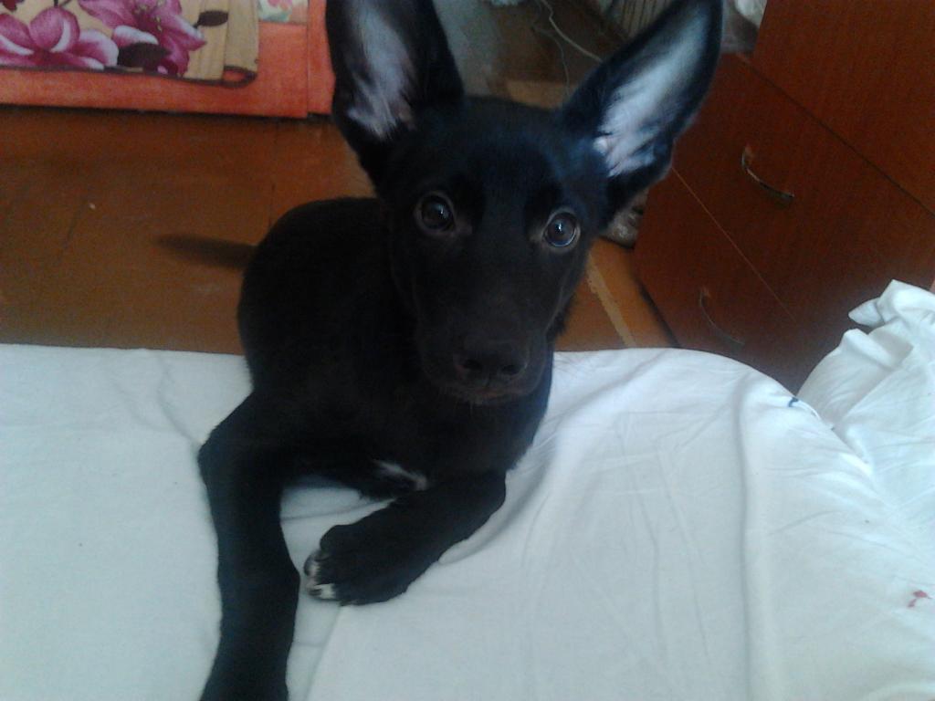 ��� ������. ���������� �����