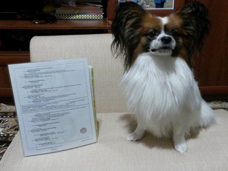 ��������. ���������� �����