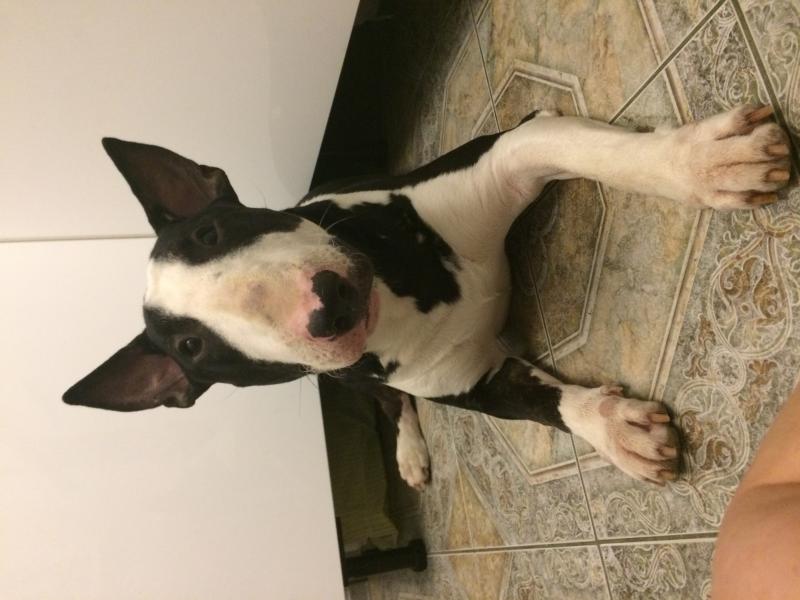 ����������