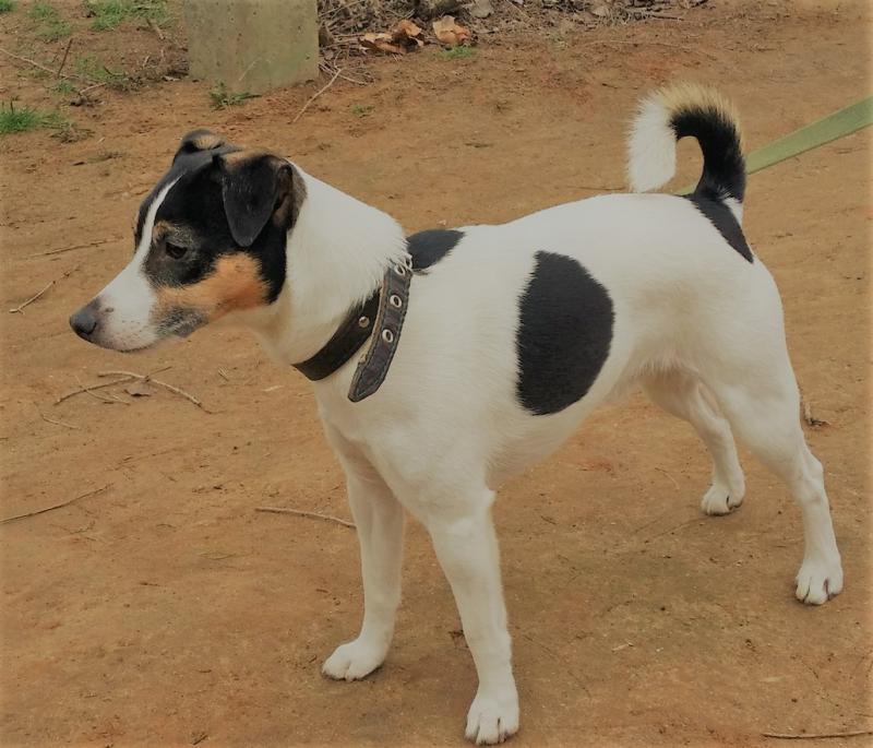 ������ ������ ������. ���������� �����