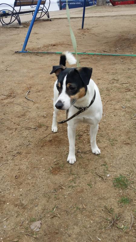 ������ ������ ������. ���������� �����