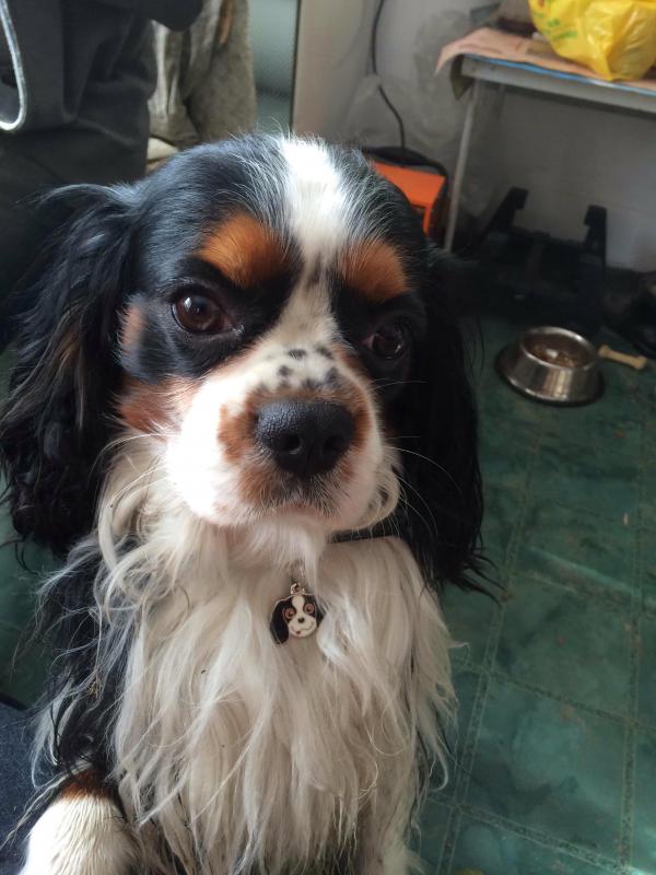 �������-����-������-��������. ���������� �����