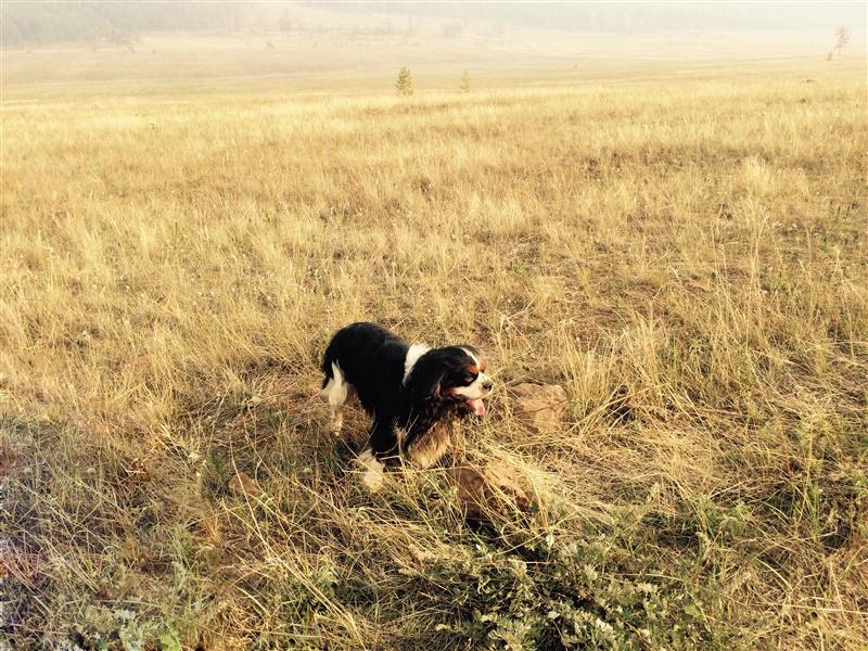 �������-����-������-��������. ���������� �����