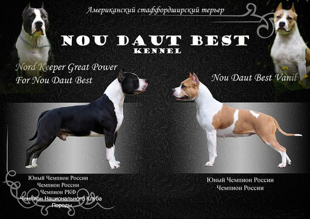 ������������ �����������c��� ������. ���������� �����