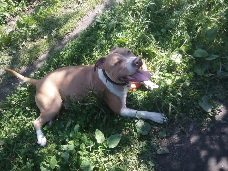 ������������ �����������c��� ������. ���������� �����