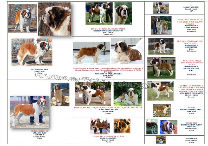 ���������. ���������� �����