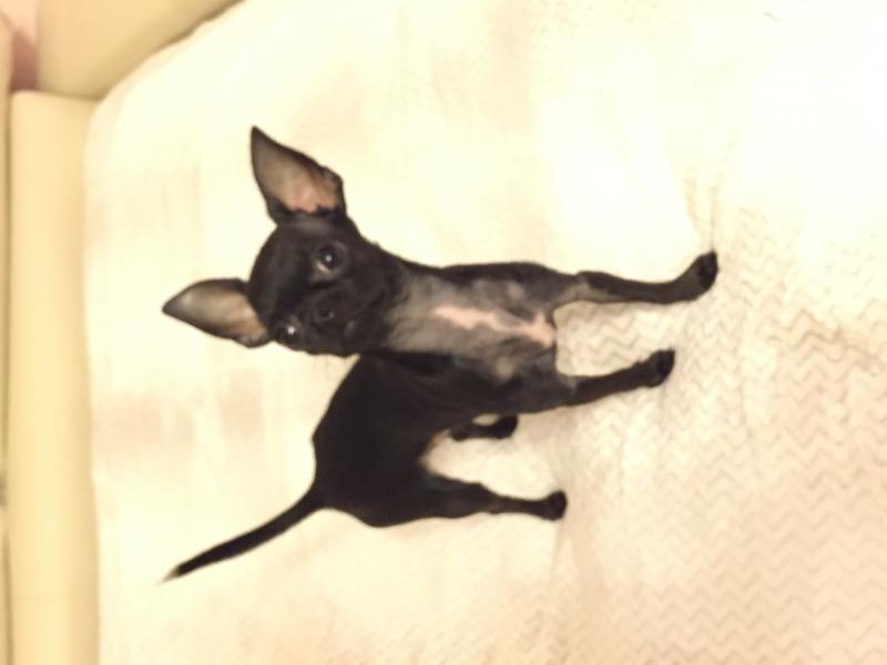 ��������. ���������� �����