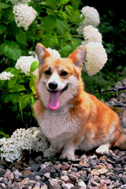 ����� ����� ��������. ���������� �����