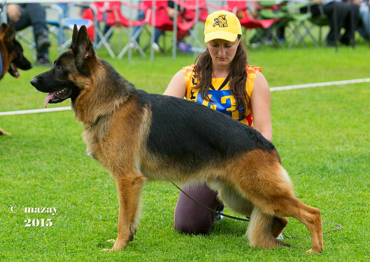 �������� �������. ���������� �����