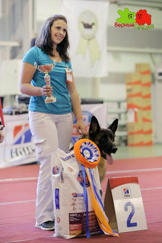 �������� �������. ���������� �����