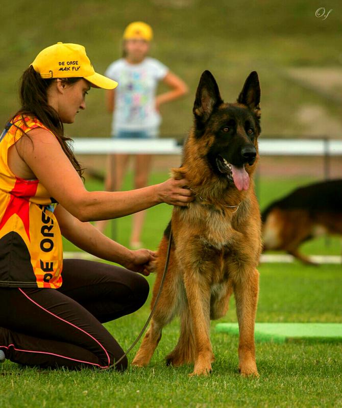 �������� �������. ���������� �����