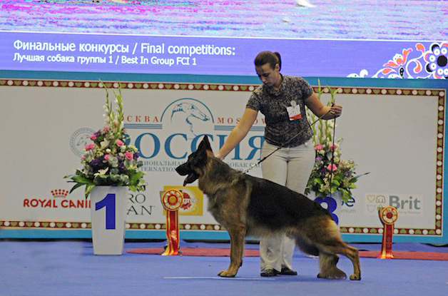 �������� �������. ���������� �����