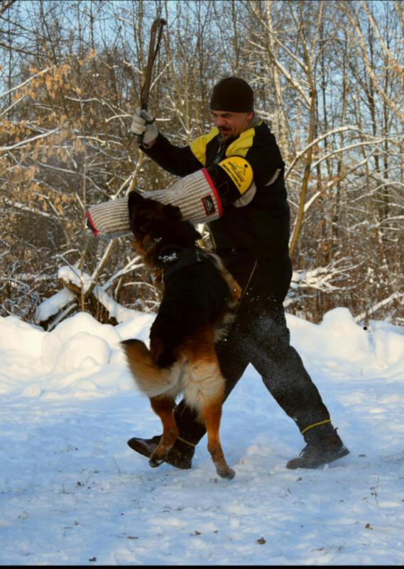 �������� �������. ���������� �����