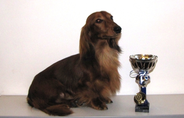 �����. ���������� �����