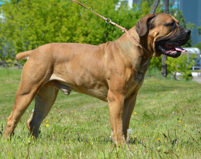 ��������������� �������