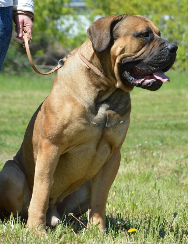 ��������������� �������