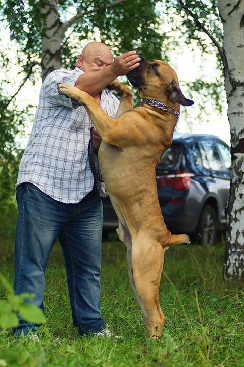 ��������������� �������