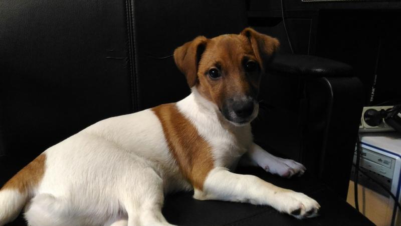 ���� ������ ������. ���������� �����