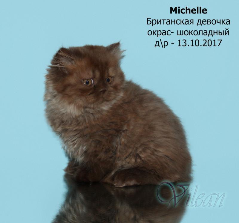 ���������� ��������������. ���������� �����