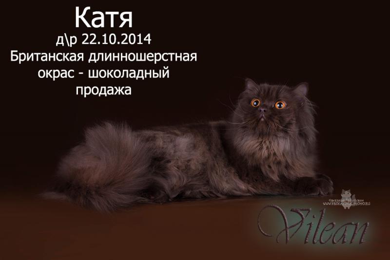 ���������� ��������������. ���������� �����