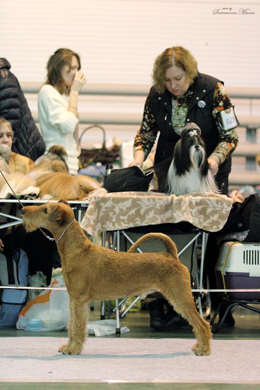 ���������� ������. ���������� �����