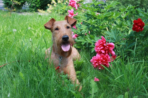 ���������� ������. ���������� �����