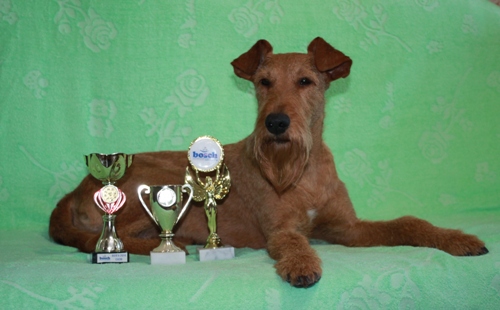 ���������� ������. ���������� �����