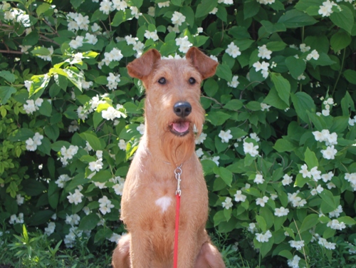 ���������� ������. ���������� �����