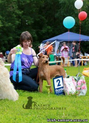 ���������� ������. ���������� �����