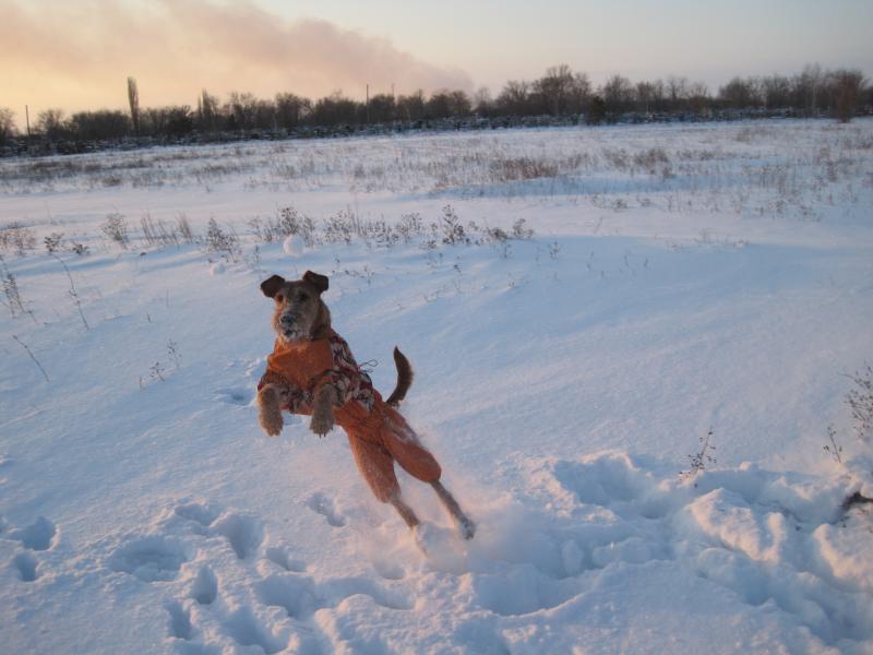 ���������� ������. ���������� �����