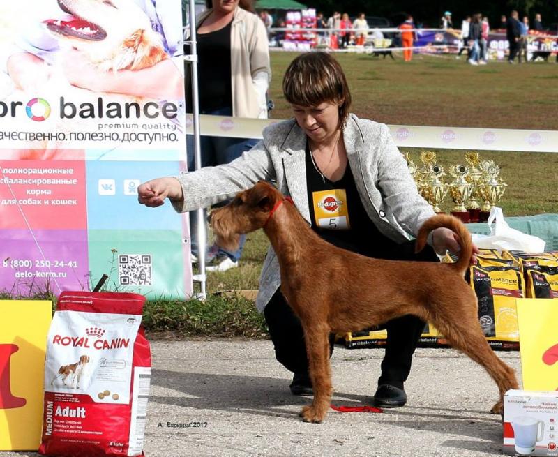 ���������� ������. ���������� �����