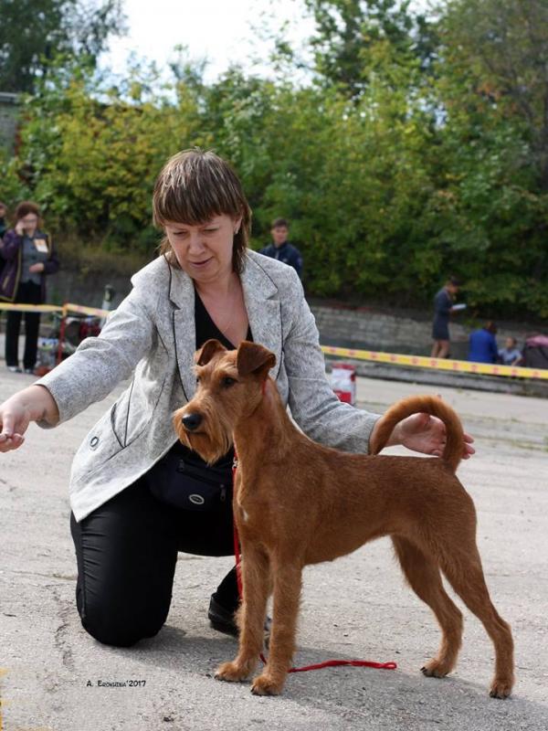 ���������� ������. ���������� �����