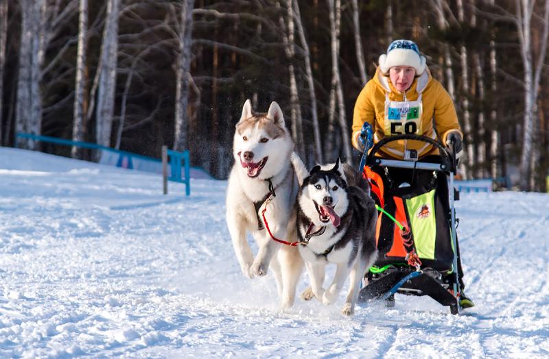 ��������� �����. ���������� �����