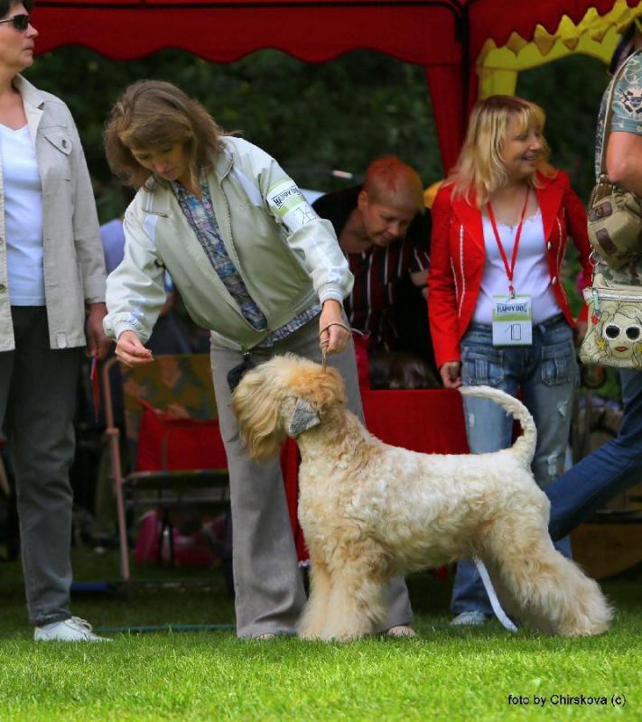 ��������� ������������� ������