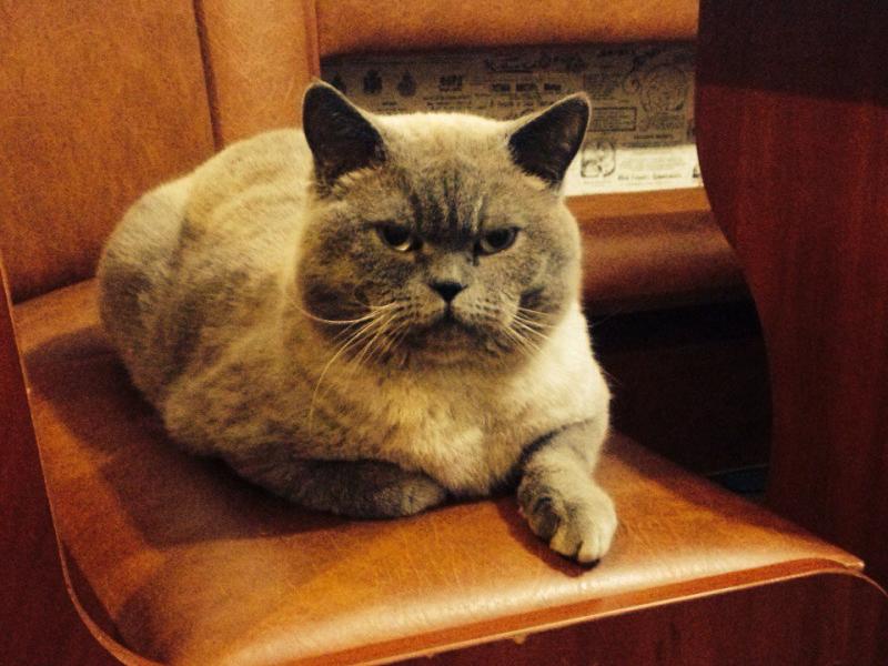 ���������� ���������������. ���������� �����