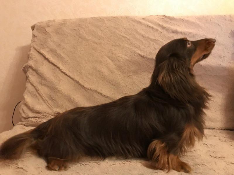 �����. ���������� �����