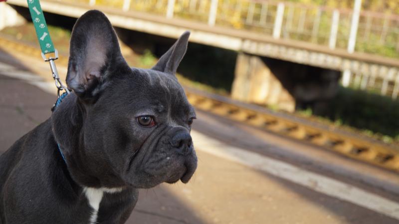 ����������� �������. ���������� �����