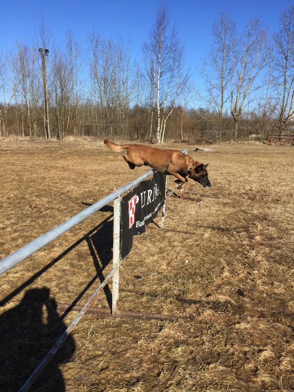 ����������� �������