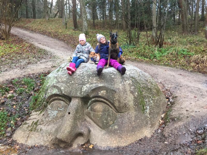 ����������� �������