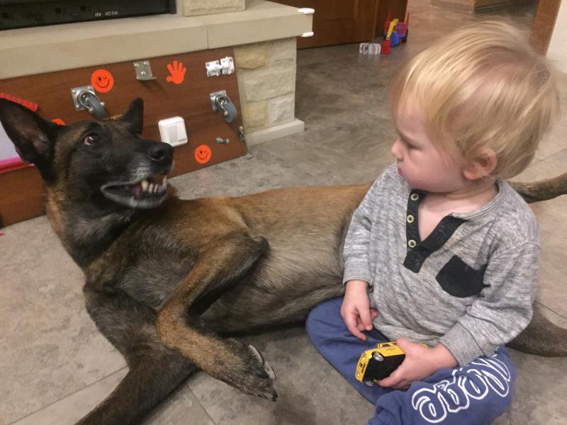 ����������� �������