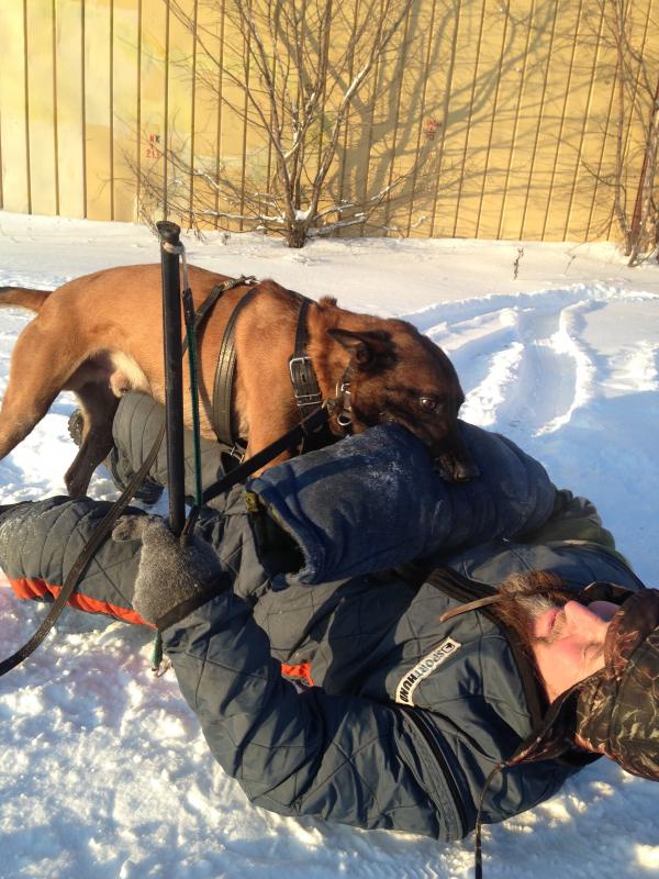 ����������� �������